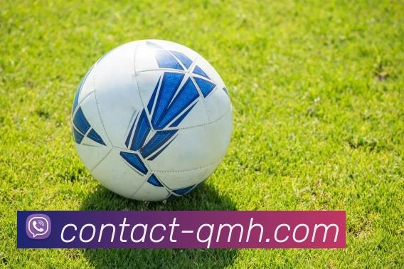 英超历年降级球队：回顾英超历史上的降级球队及其影响。